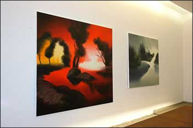 Bild
