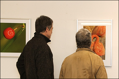 Bild