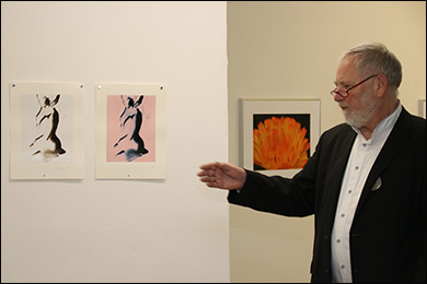 Bild